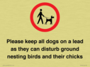 please-keep-all-dogs-on-a-lead-as-they-can-disturb-ground-nesting-birds-and-thei~